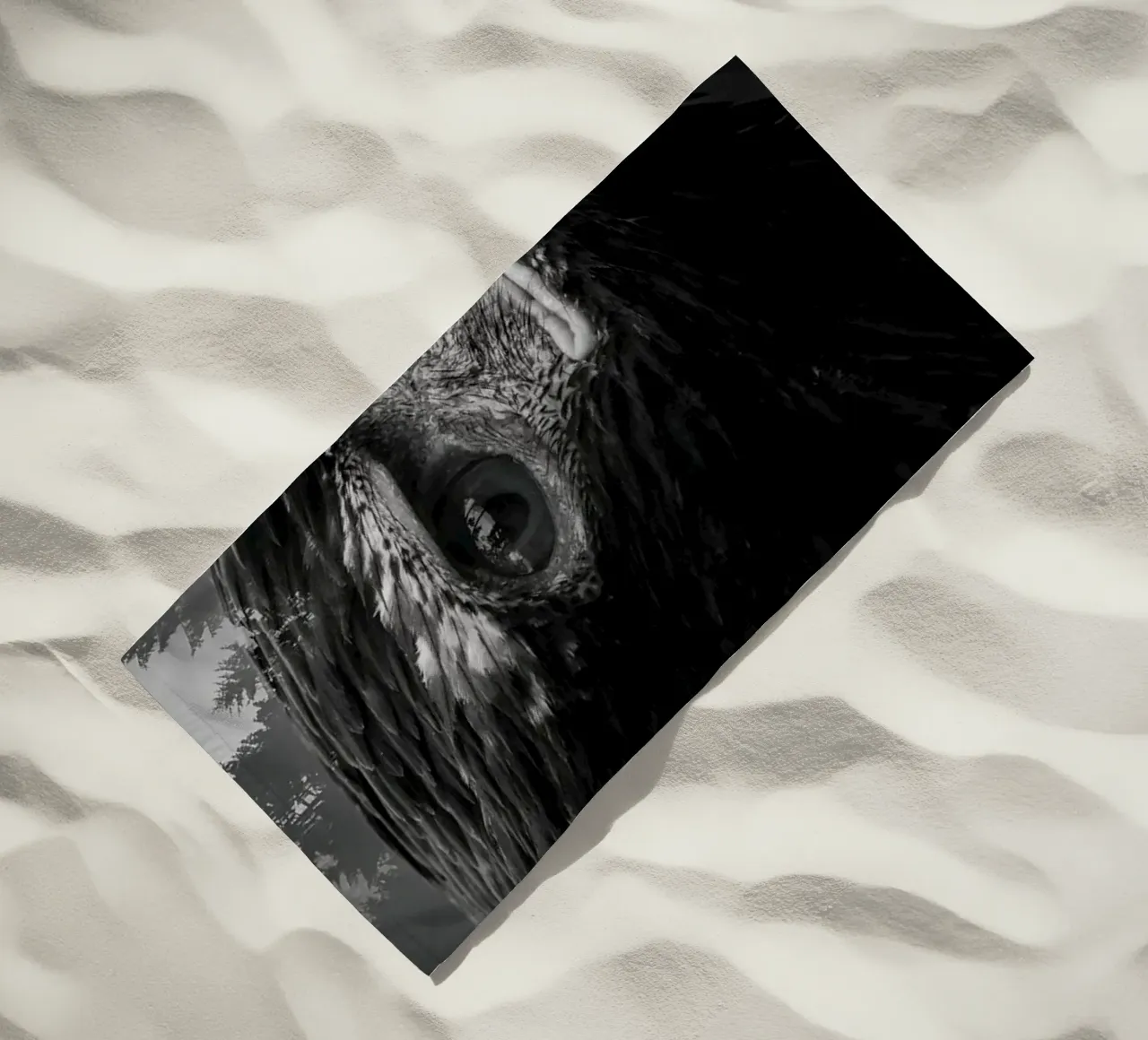 Eagle Forest telo mare da Mateo