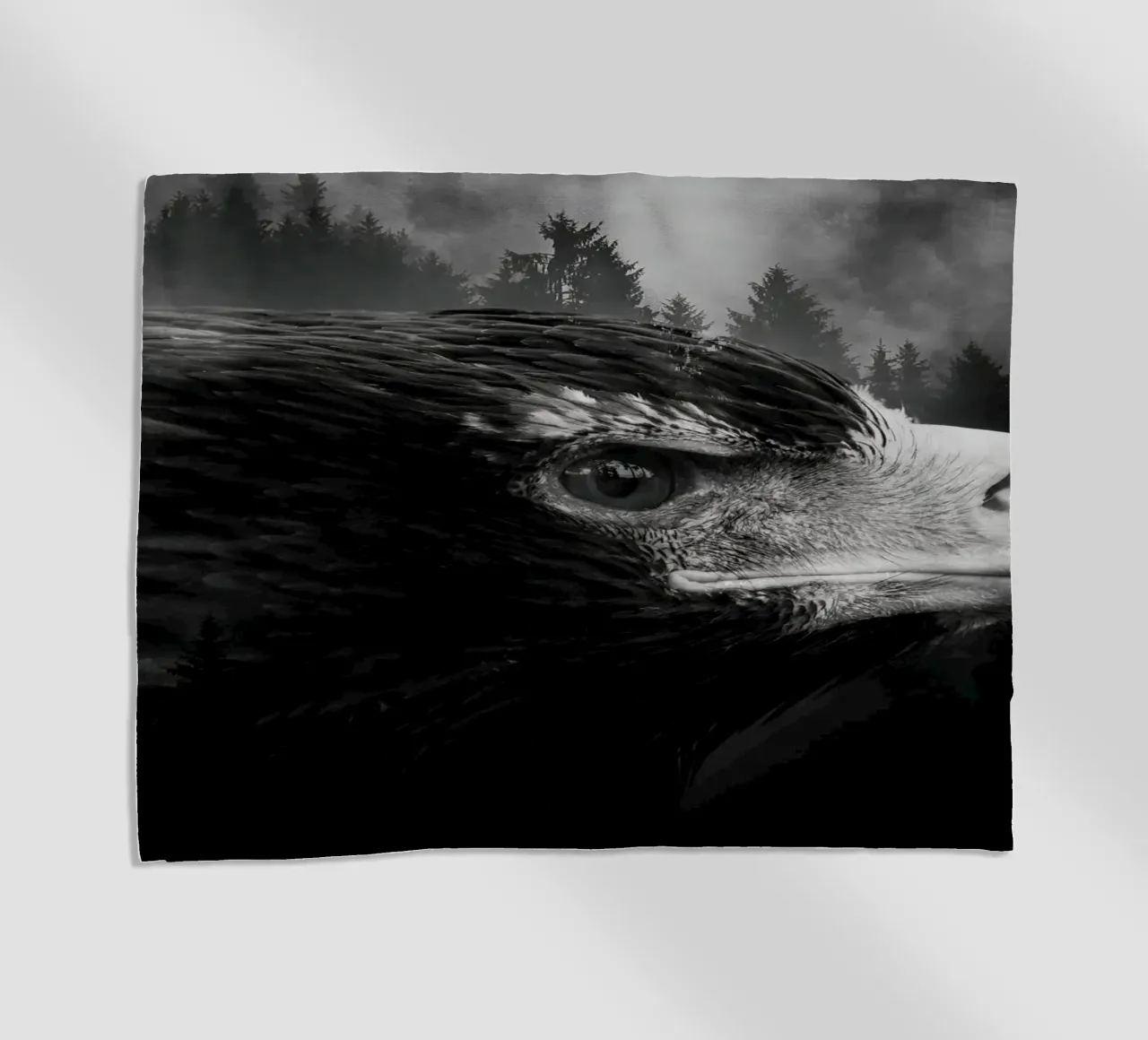 Eagle Forest telo mare da Mateo