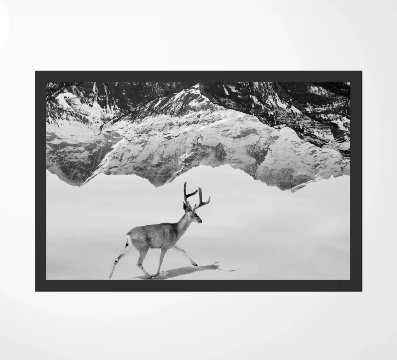 Deer Mountains zerbino da Mateo