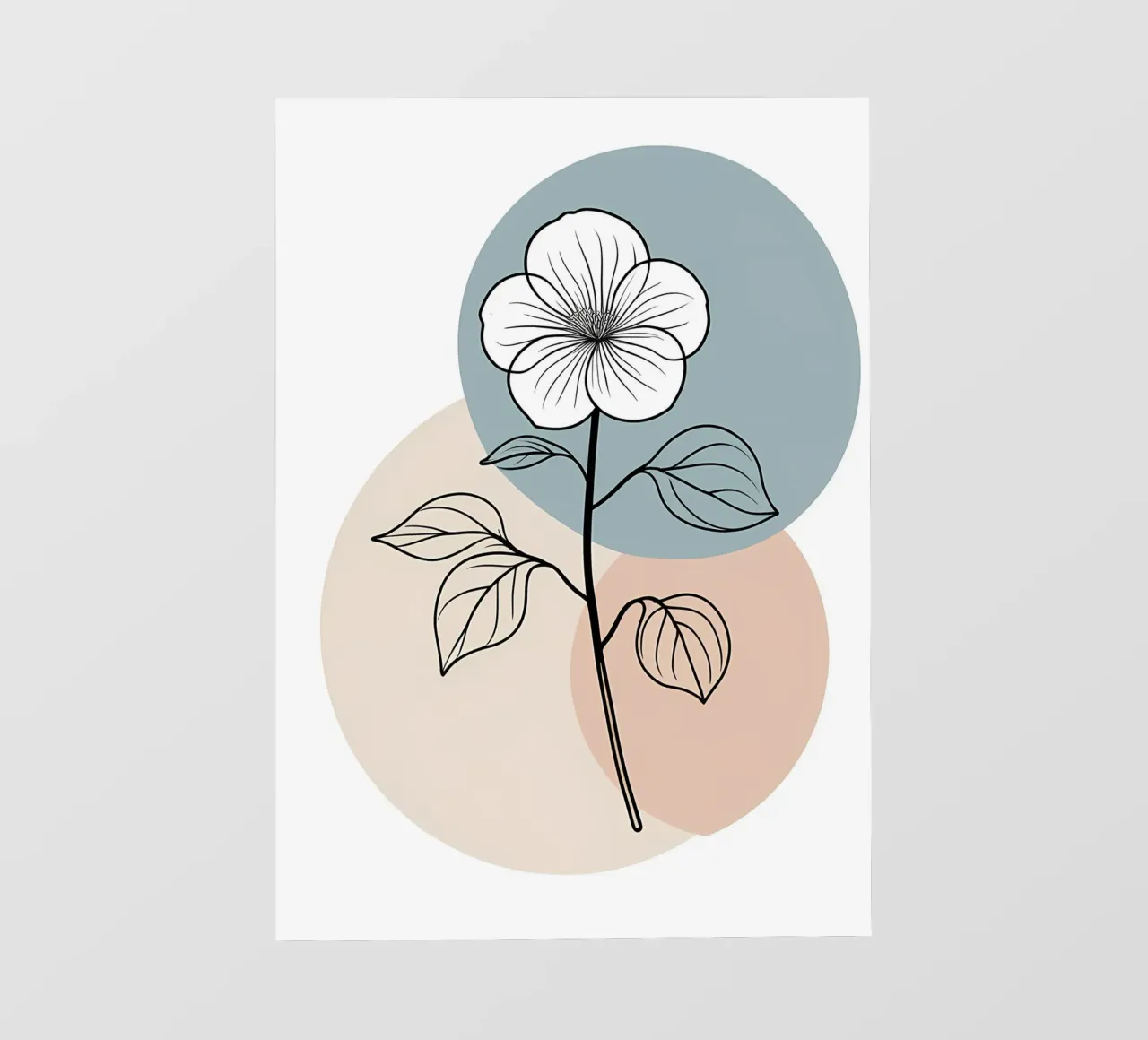 Line art minimalista di un singolo fiore di begonia pellicola backlit da Bloom And Brush