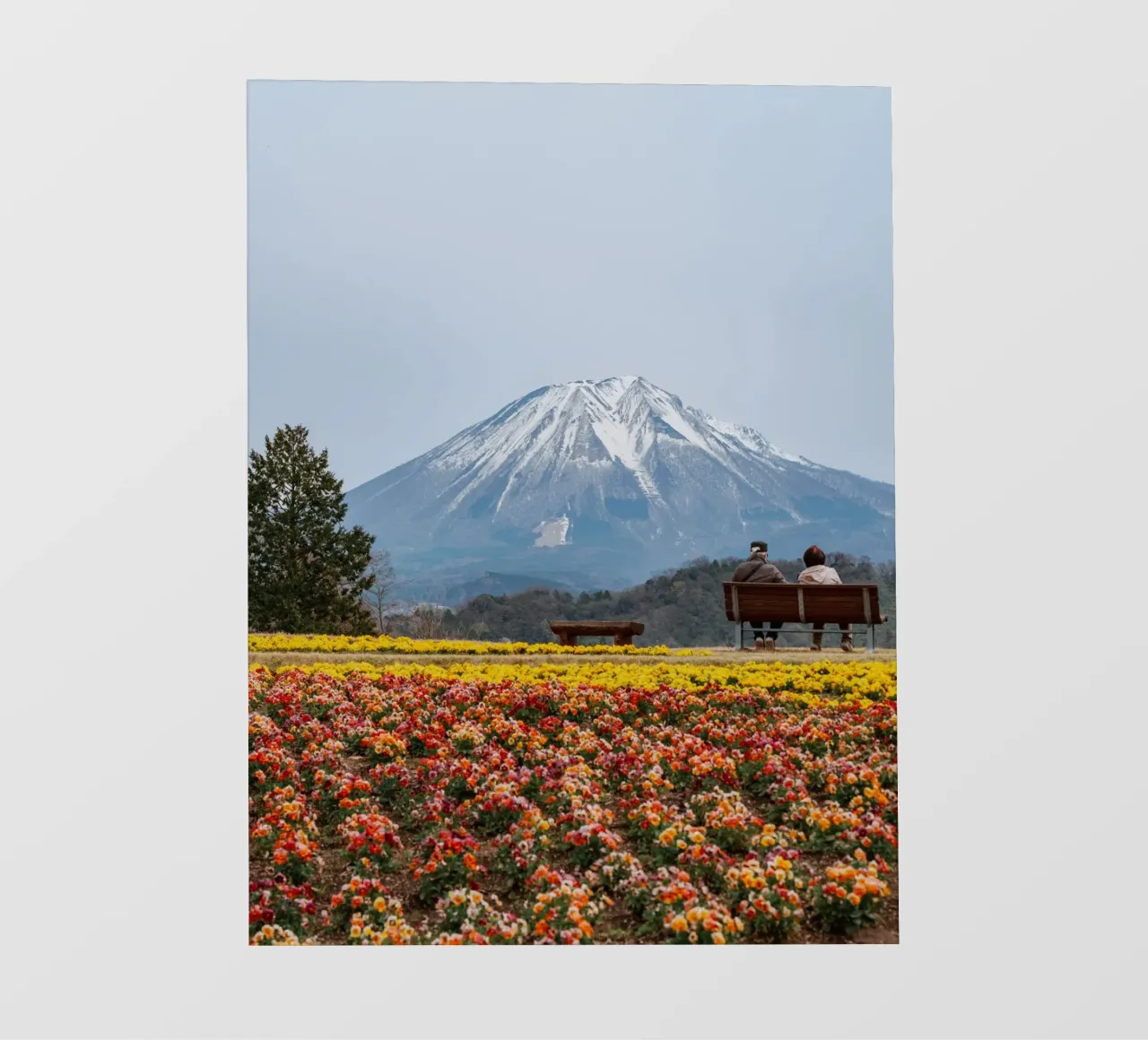 Fiori del Monte Daisen in Giappone telo in pvc da Marcel Bisig