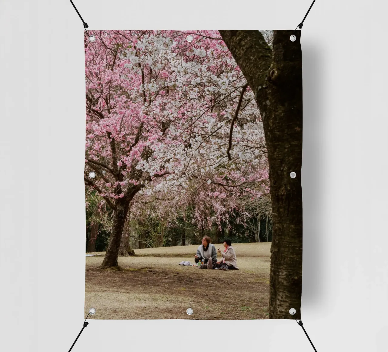 Picnic con i ciliegi in fiore, Giappone telo in pvc da Marcel Bisig