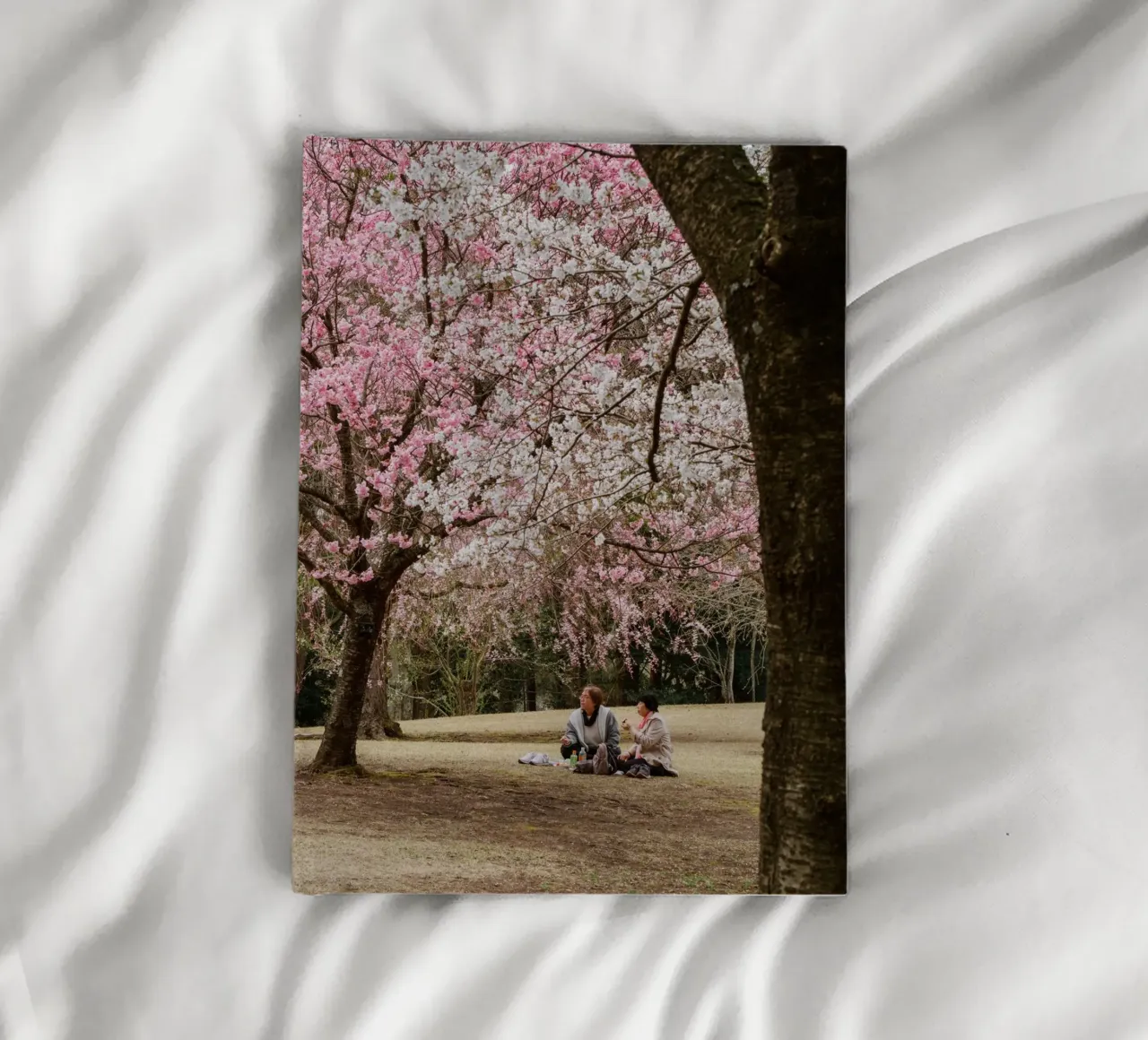 Picnic con i ciliegi in fiore, Giappone diario da Marcel Bisig