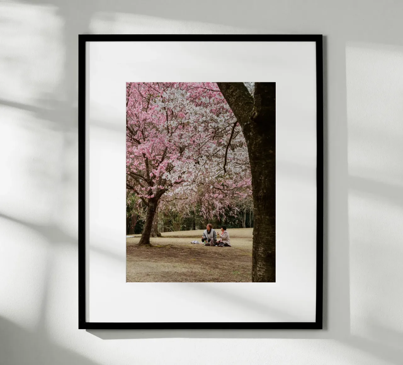 Picnic con i ciliegi in fiore, Giappone carta hahnemühle da Marcel Bisig