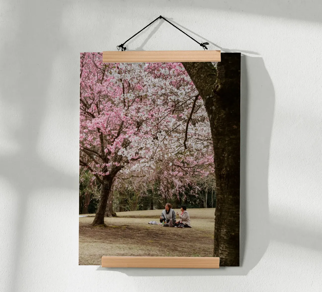 Picnic con i ciliegi in fiore, Giappone carta hahnemühle da Marcel Bisig