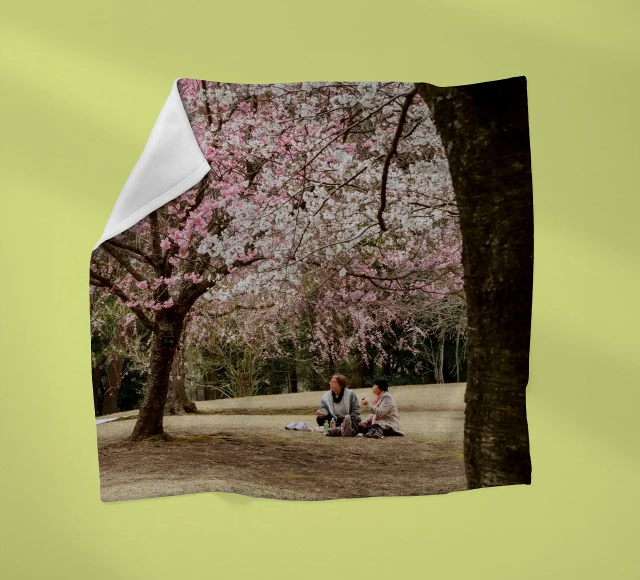 Picnic con i ciliegi in fiore, Giappone coperta in pile da Marcel Bisig
