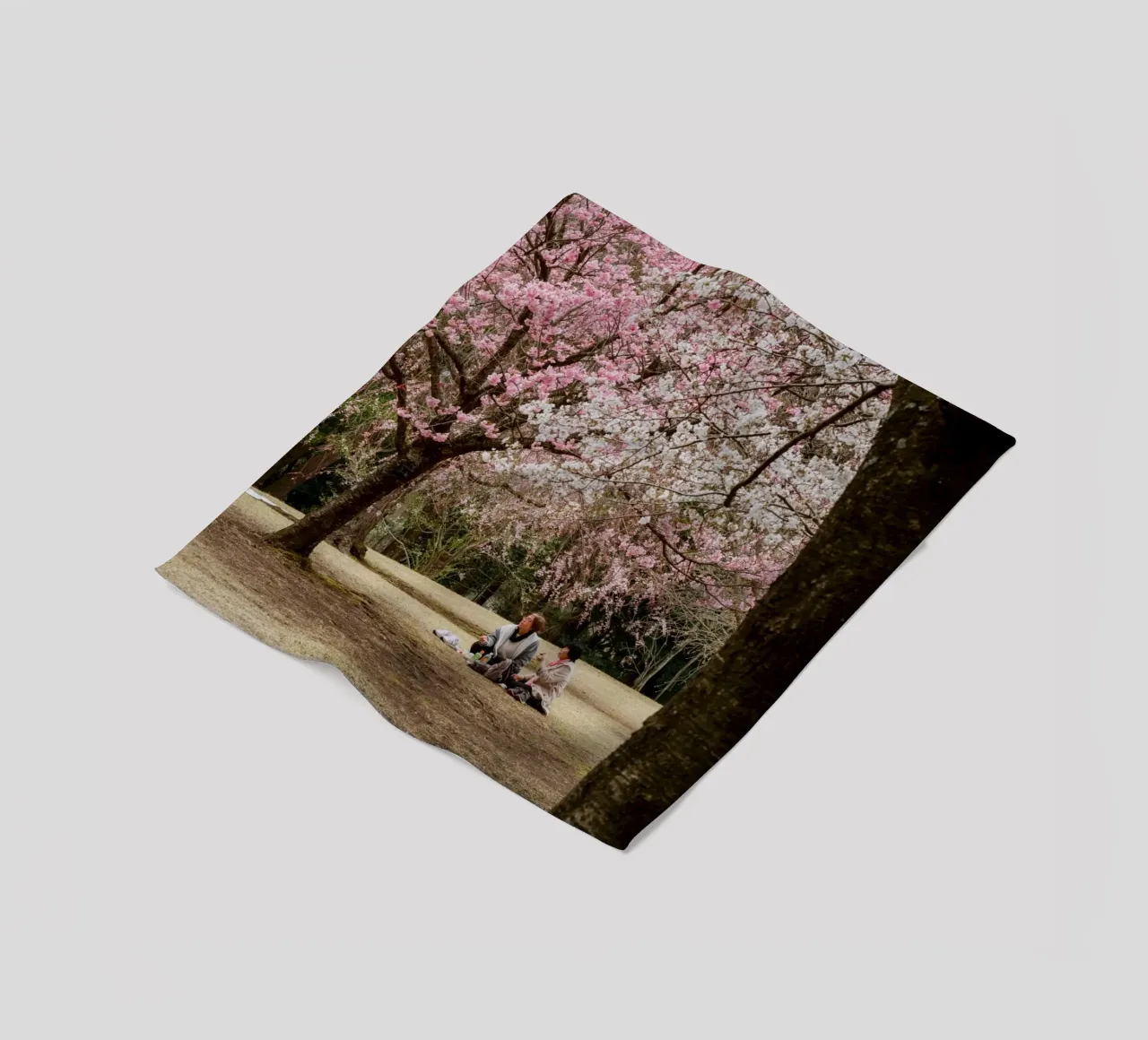 Picnic con i ciliegi in fiore, Giappone coperta in pile da Marcel Bisig