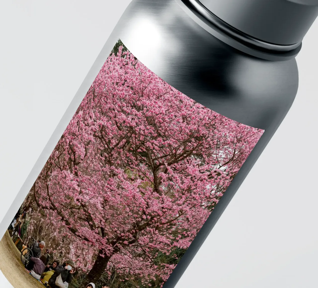 Fiori di ciliegio rosa in Giappone adesivo da Marcel Bisig