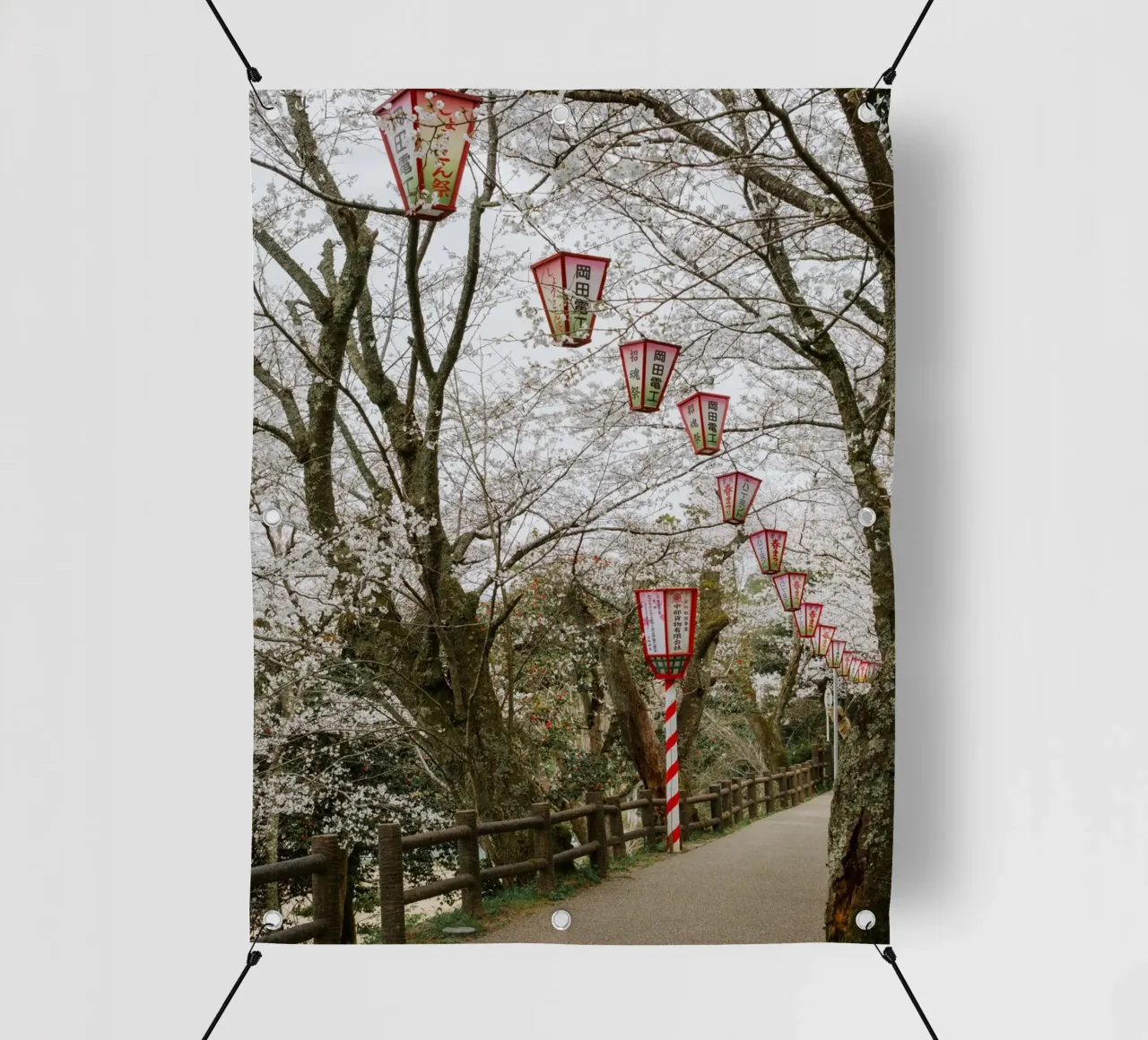 Parco dei ciliegi in fiore in Giappone telo in pvc da Marcel Bisig