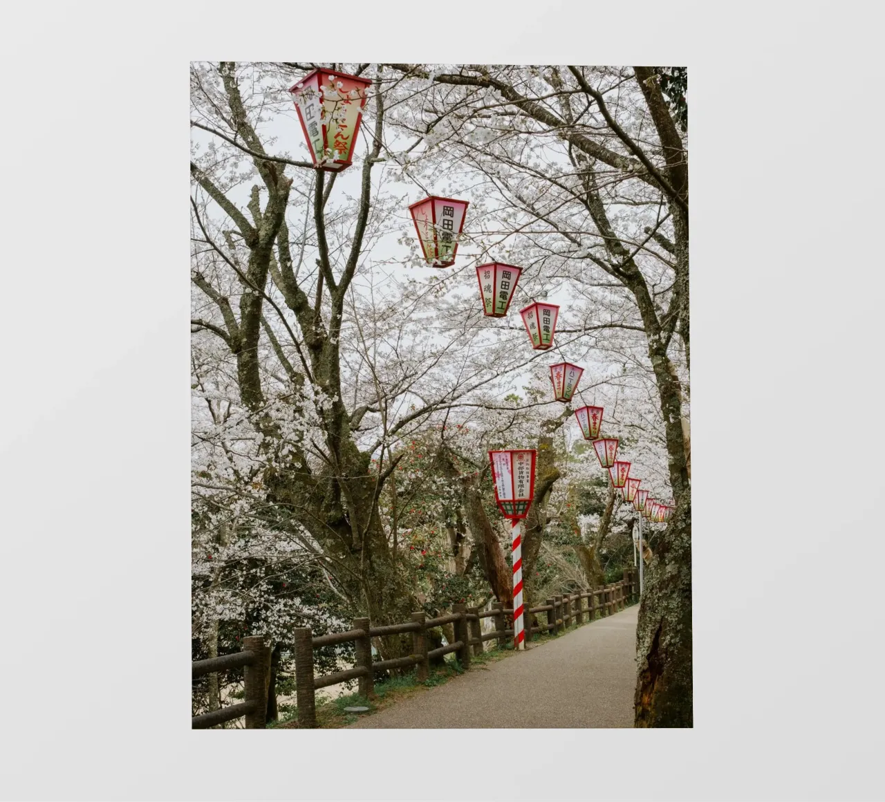 Parco dei ciliegi in fiore in Giappone telo in pvc da Marcel Bisig