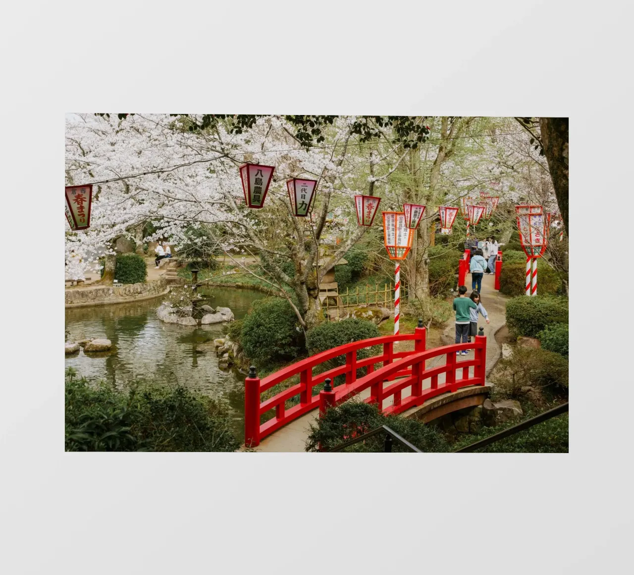 Parco dei ciliegi in fiore a Tottori, Giappone telo in pvc da Marcel Bisig