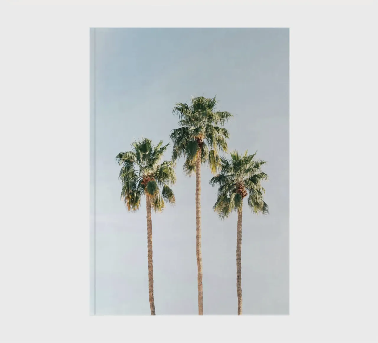 Palm Trees notebook by IamHomeStudio