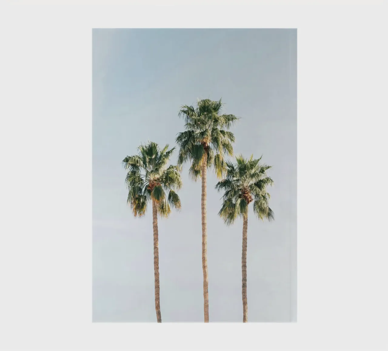 Palm Trees notebook by IamHomeStudio