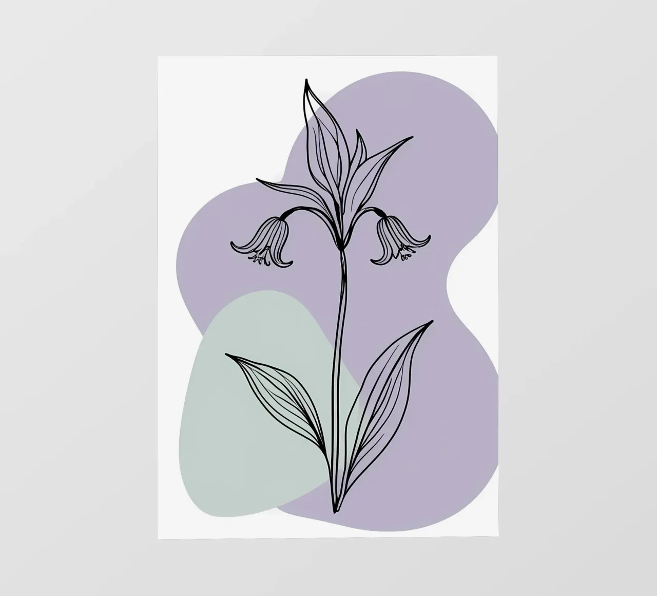 Line art minimalista di un singolo fiore di campanula pellicola backlit da Bloom And Brush