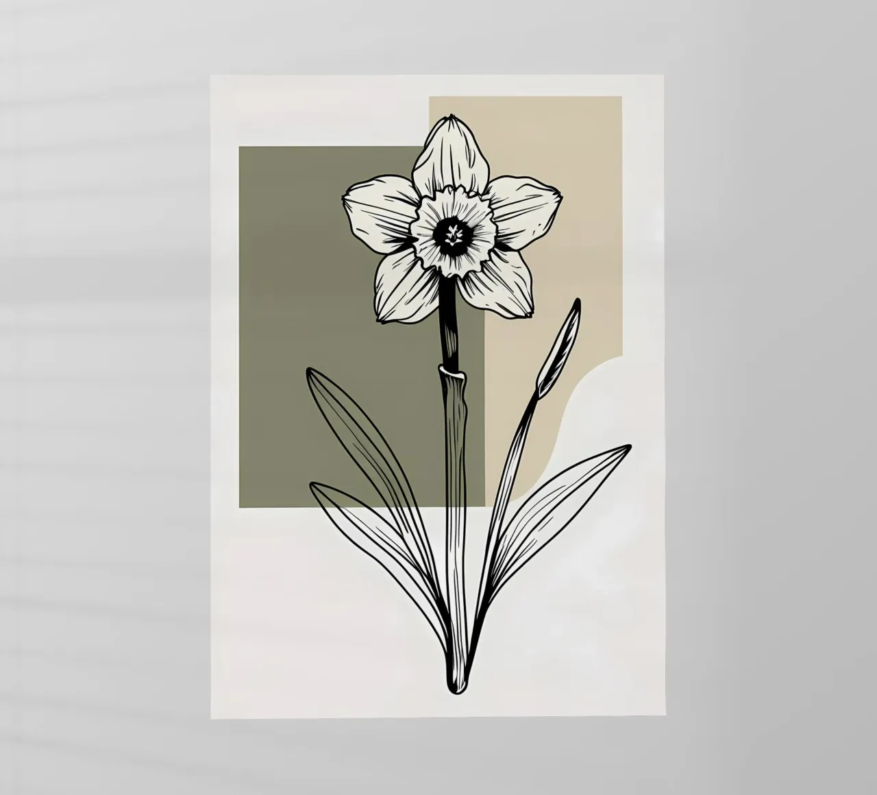 Line art minimalista di un singolo fiore di narciso pellicola backlit da Bloom And Brush