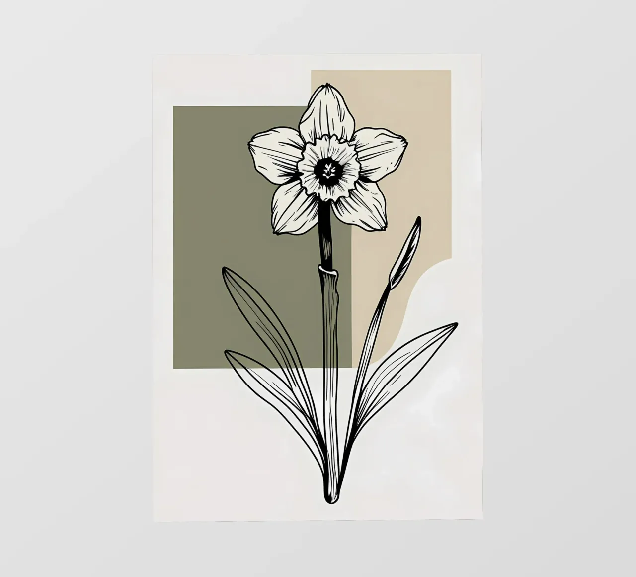 Line art minimalista di un singolo fiore di narciso pellicola backlit da Bloom And Brush