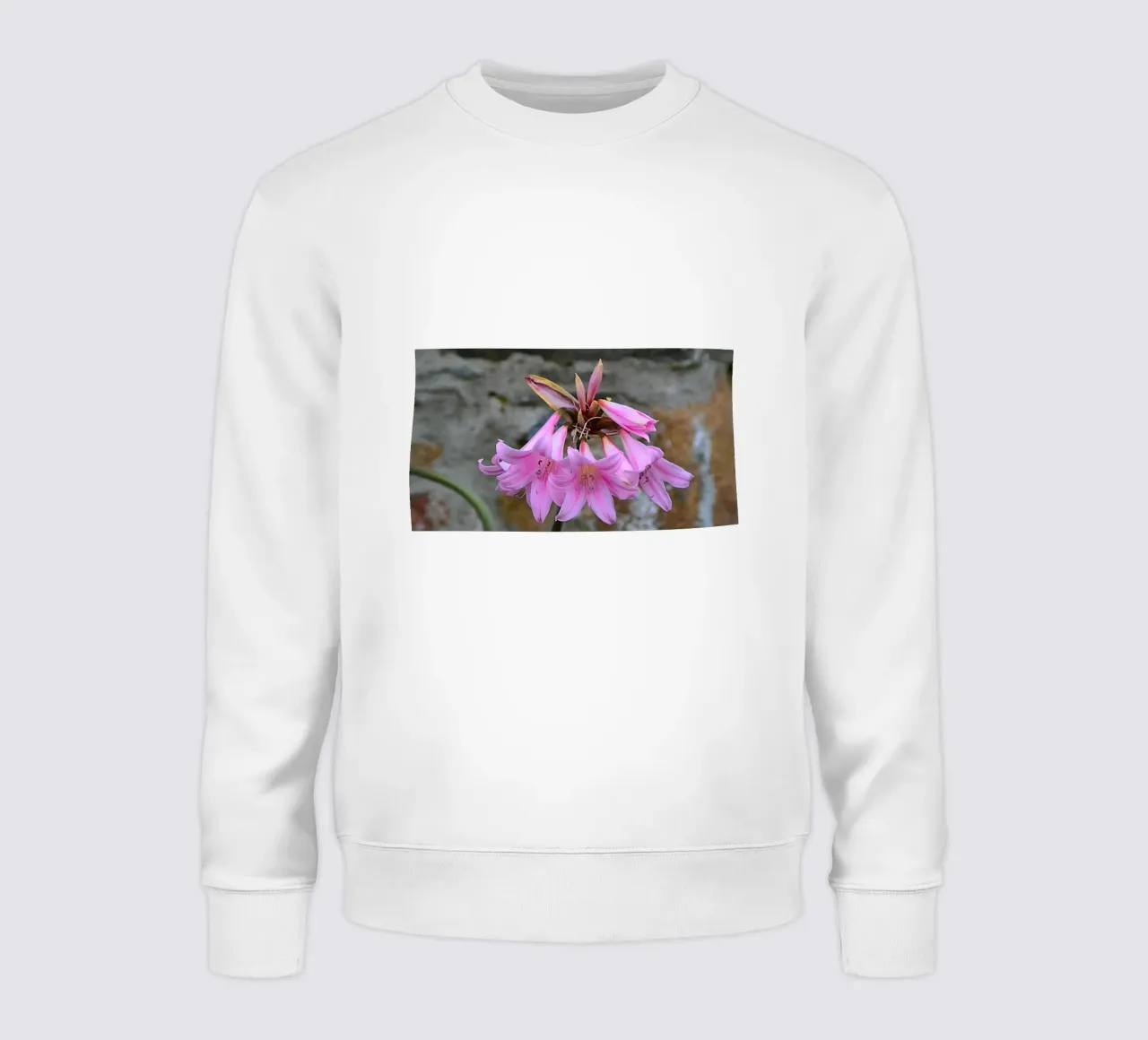 FAA370 felpa da Thierry vobmann photography