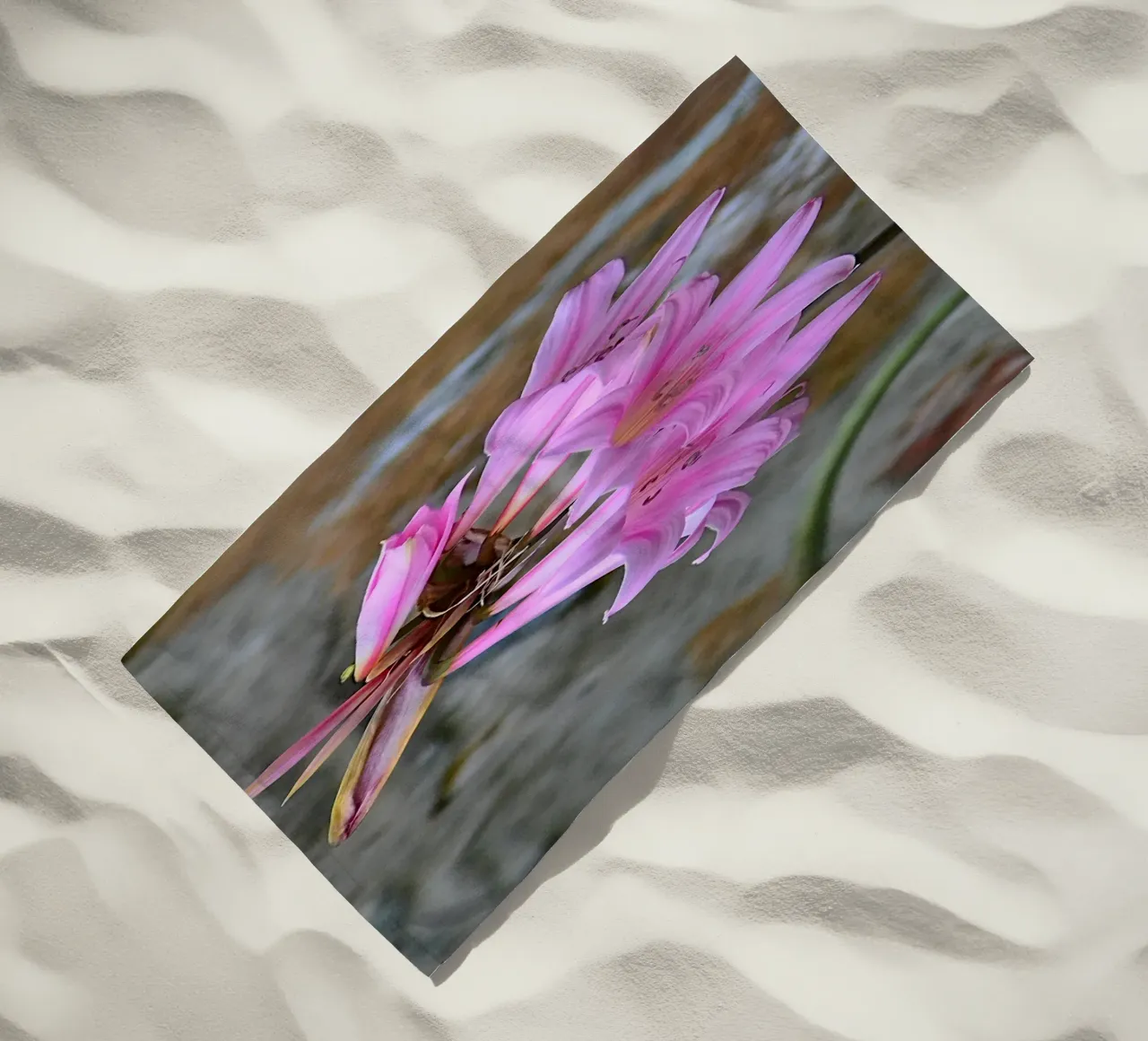 FAA370 telo mare da Thierry vobmann photography