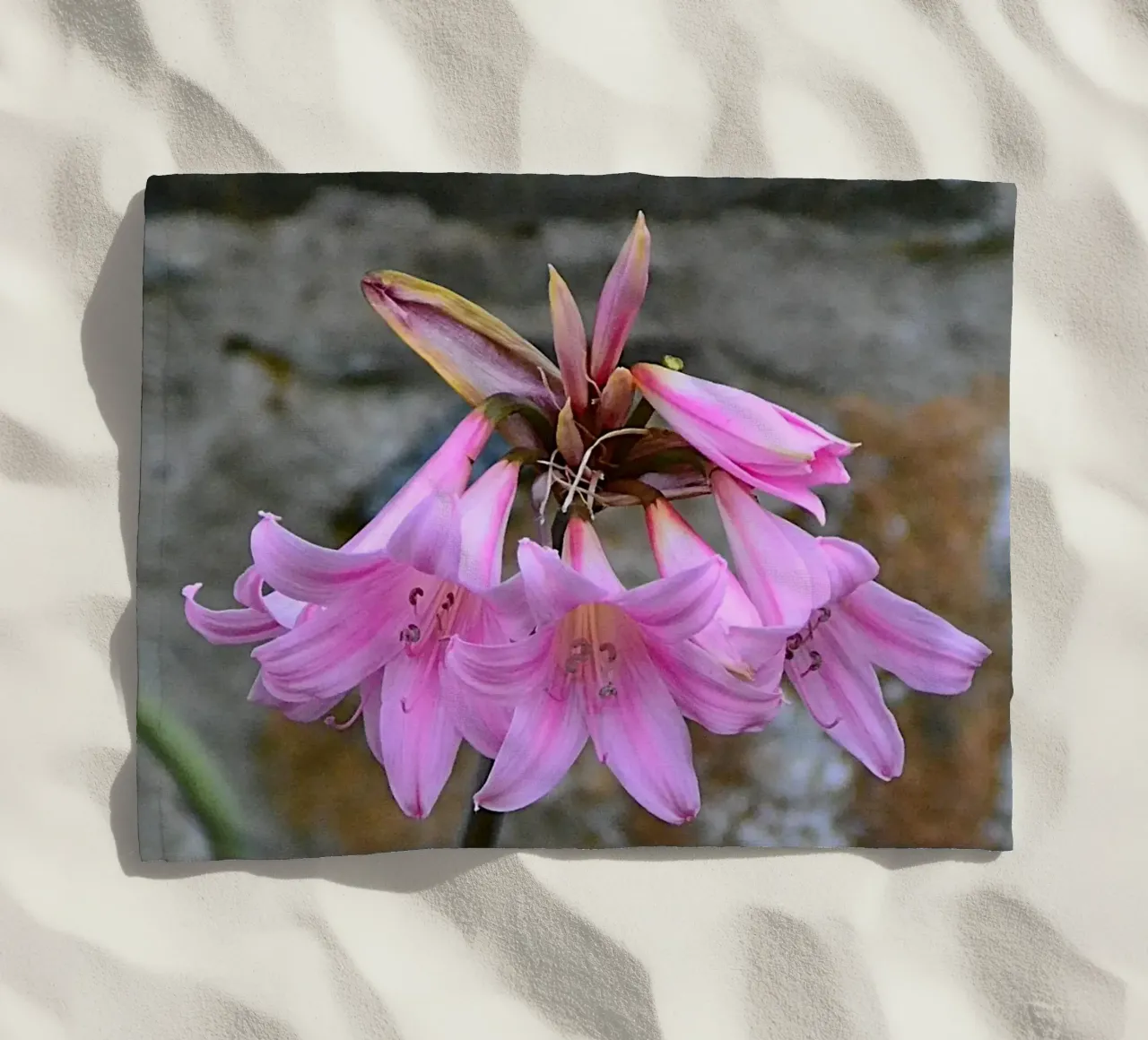 FAA370 telo mare da Thierry vobmann photography