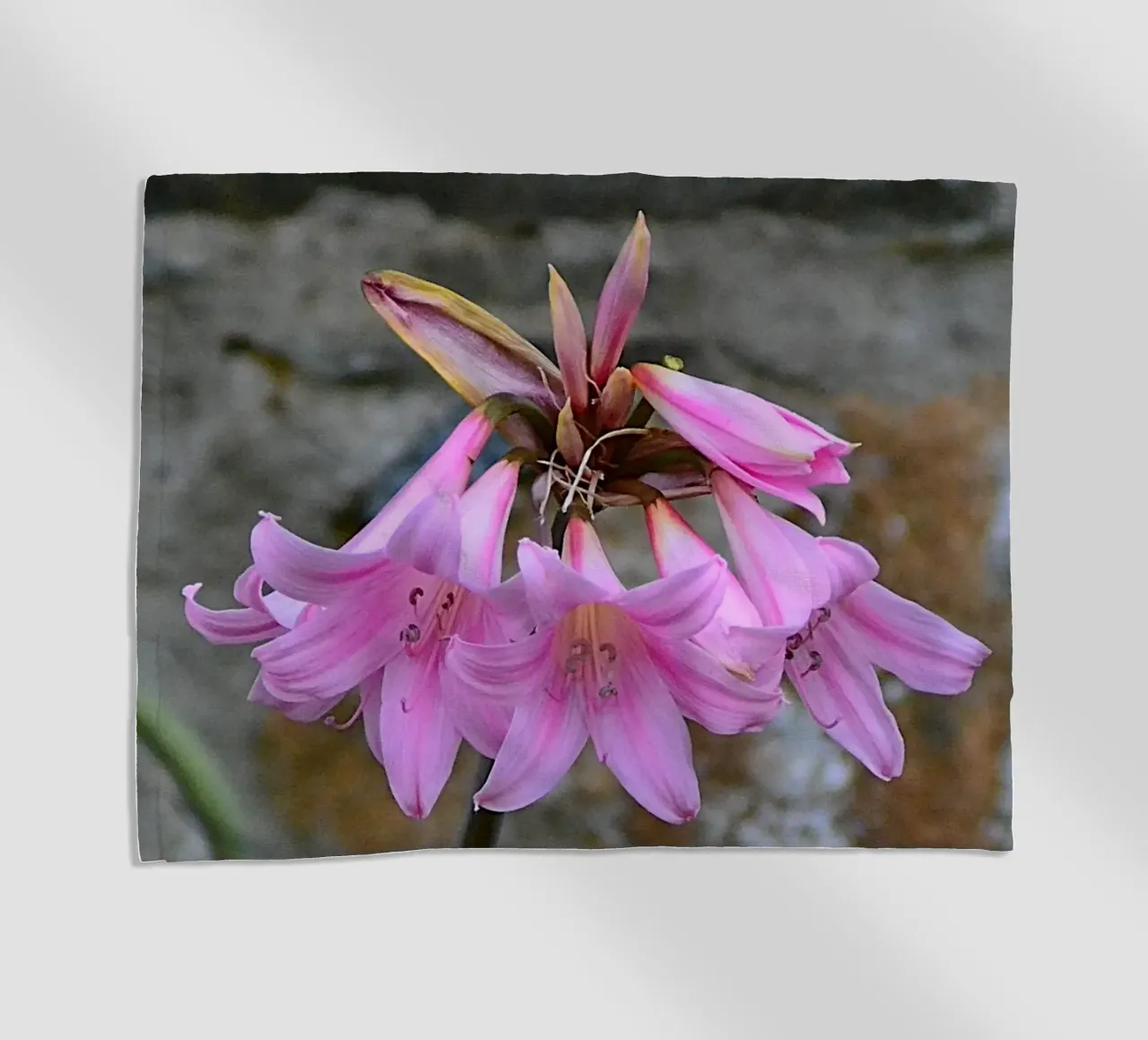 FAA370 telo mare da Thierry vobmann photography