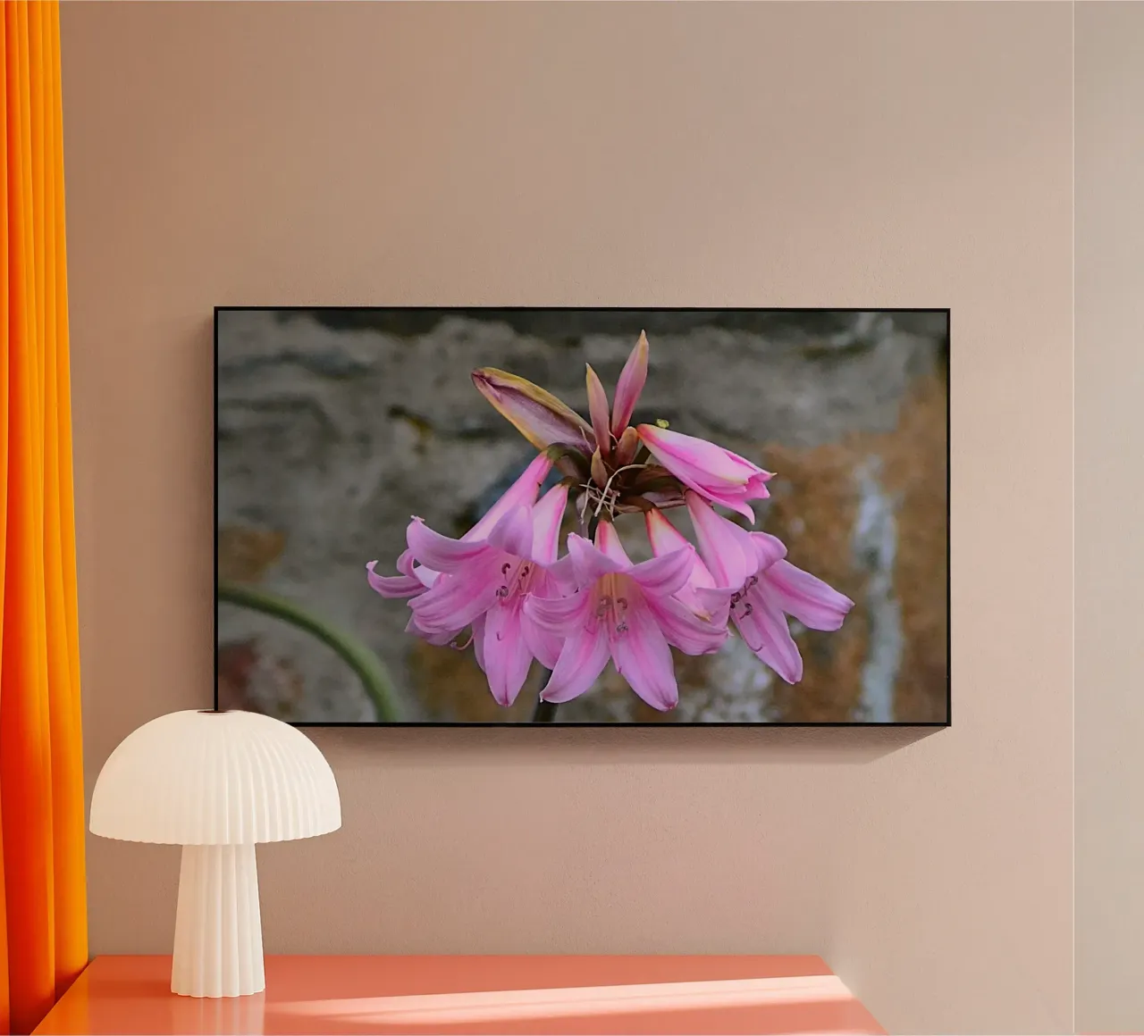 FAA370 Acryl-Glas von Thierry vobmann photography