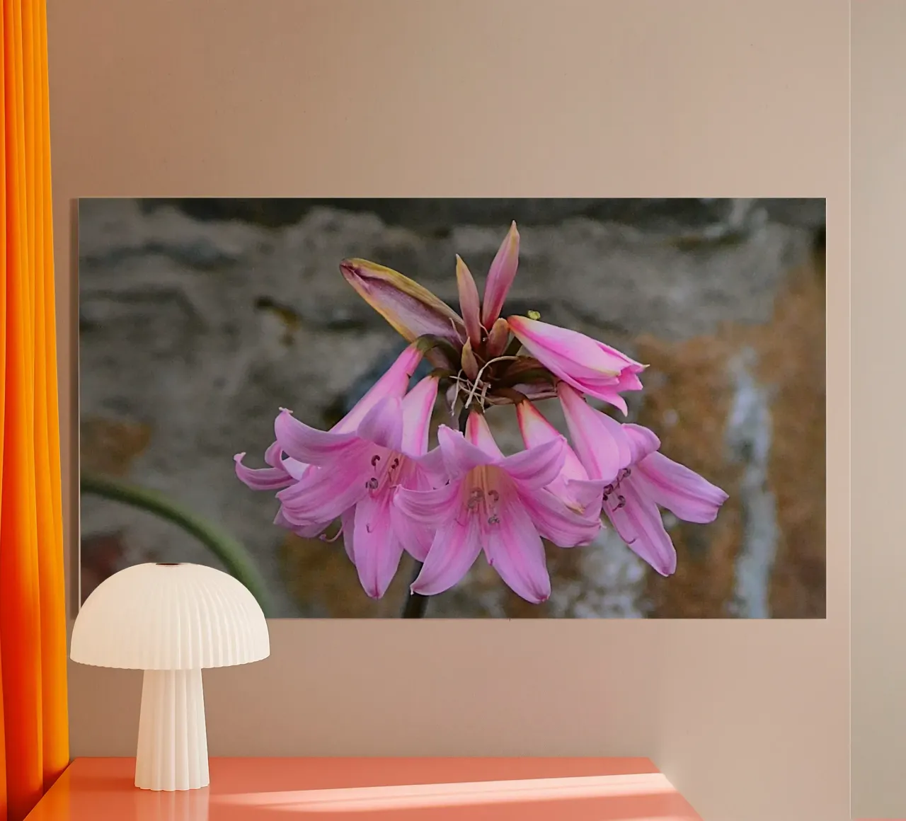 FAA370 Acryl-Glas von Thierry vobmann photography