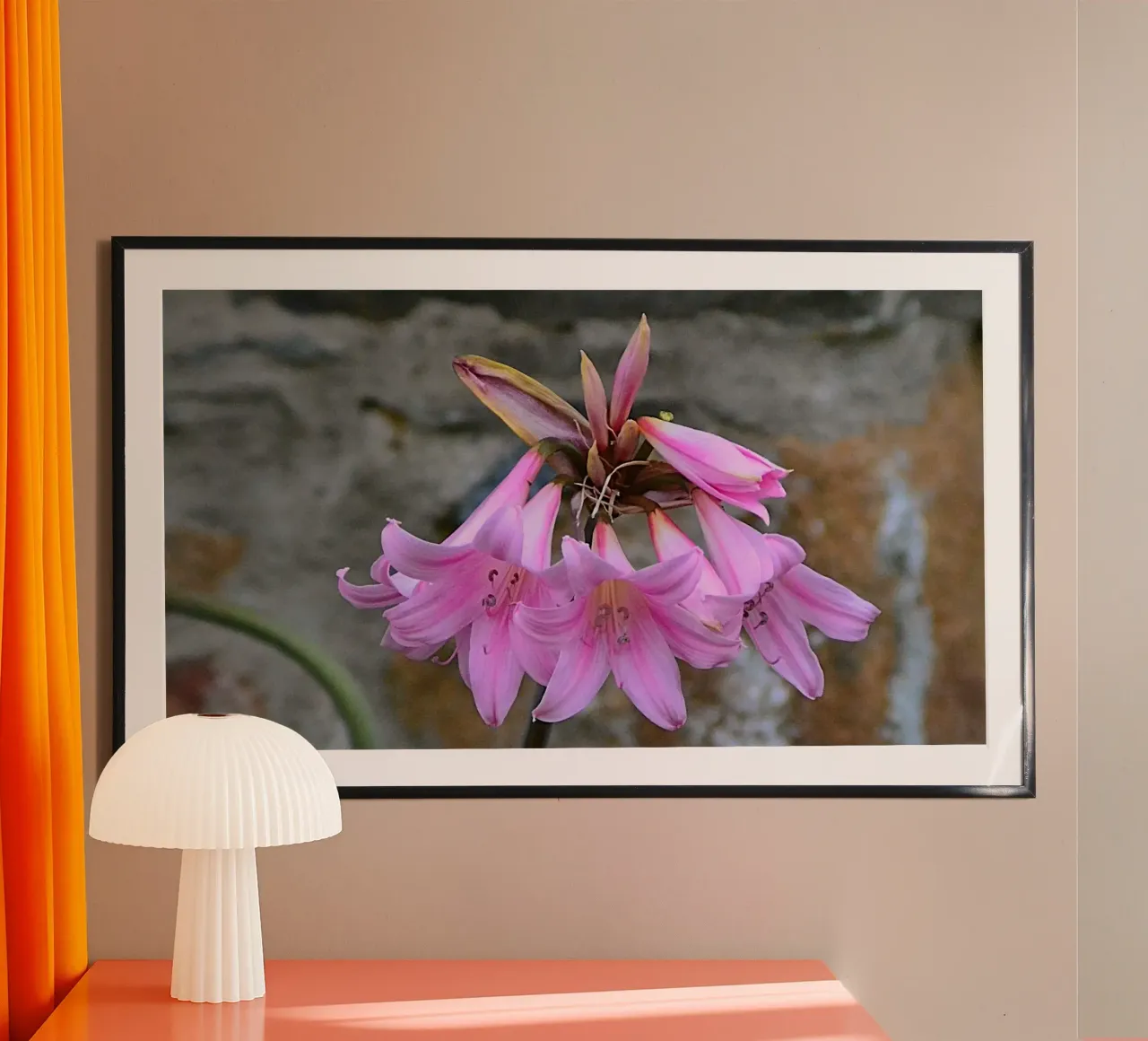 FAA370 poster da Thierry vobmann photography