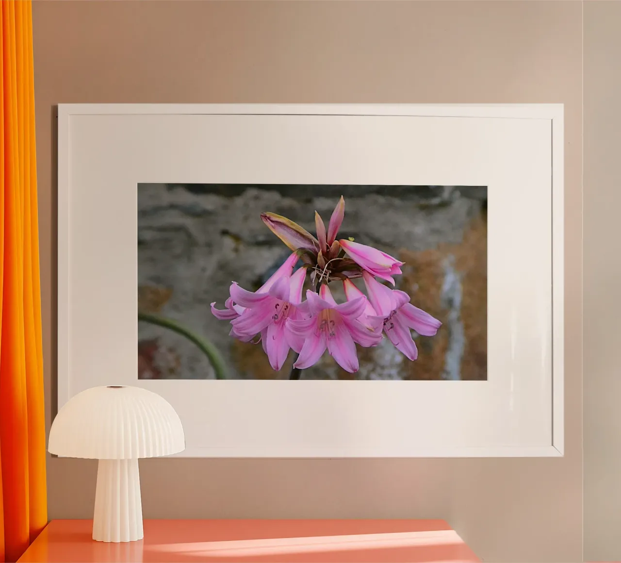 FAA370 poster da Thierry vobmann photography