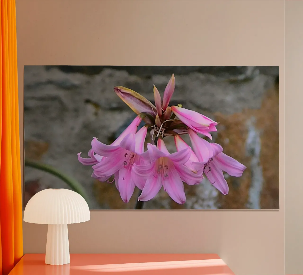 FAA370 poster da Thierry vobmann photography