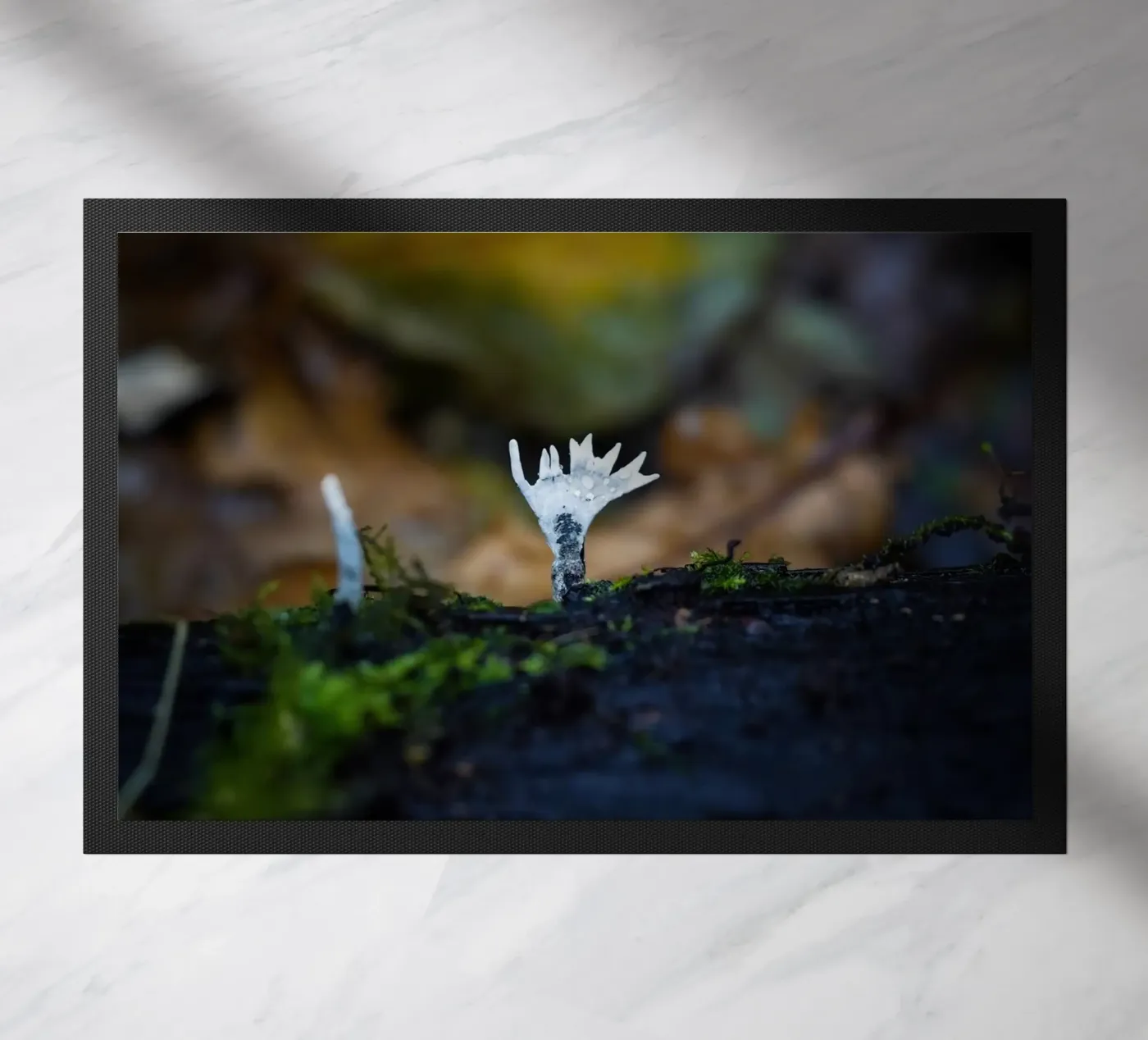 Mushrooms doormat by Tom's Wildlife