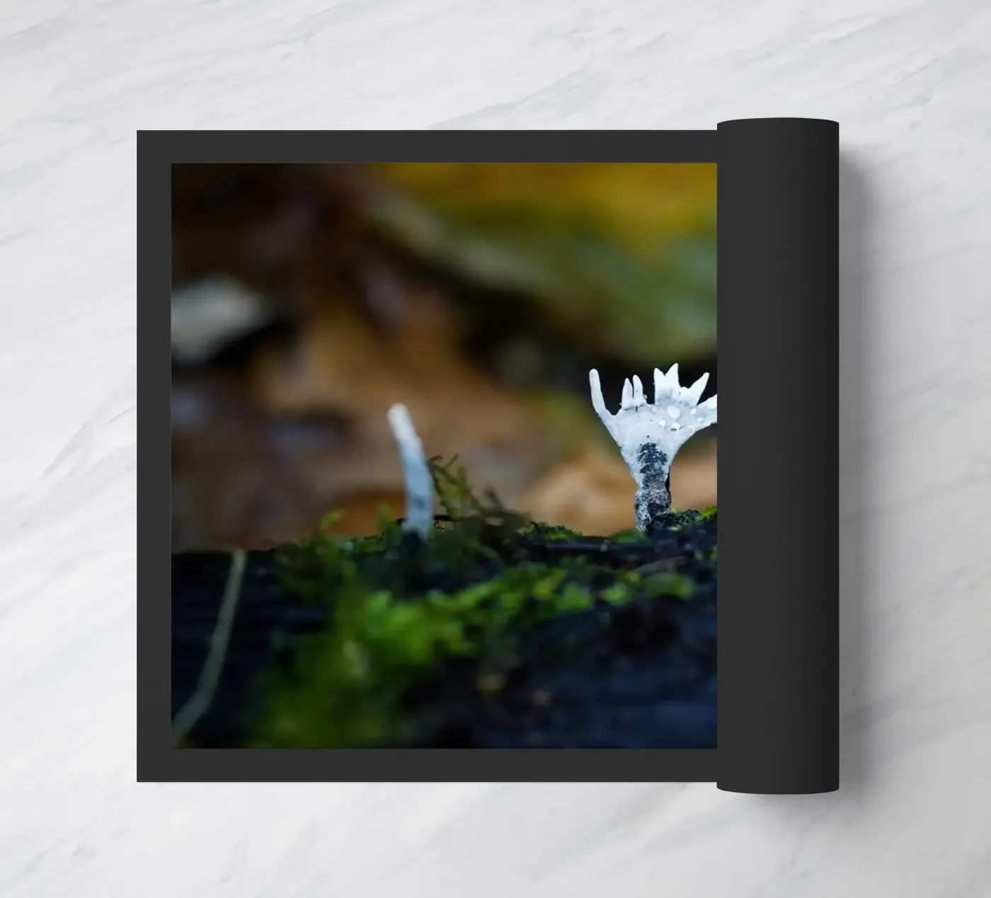 Mushrooms Fußmatte von Tom's Wildlife