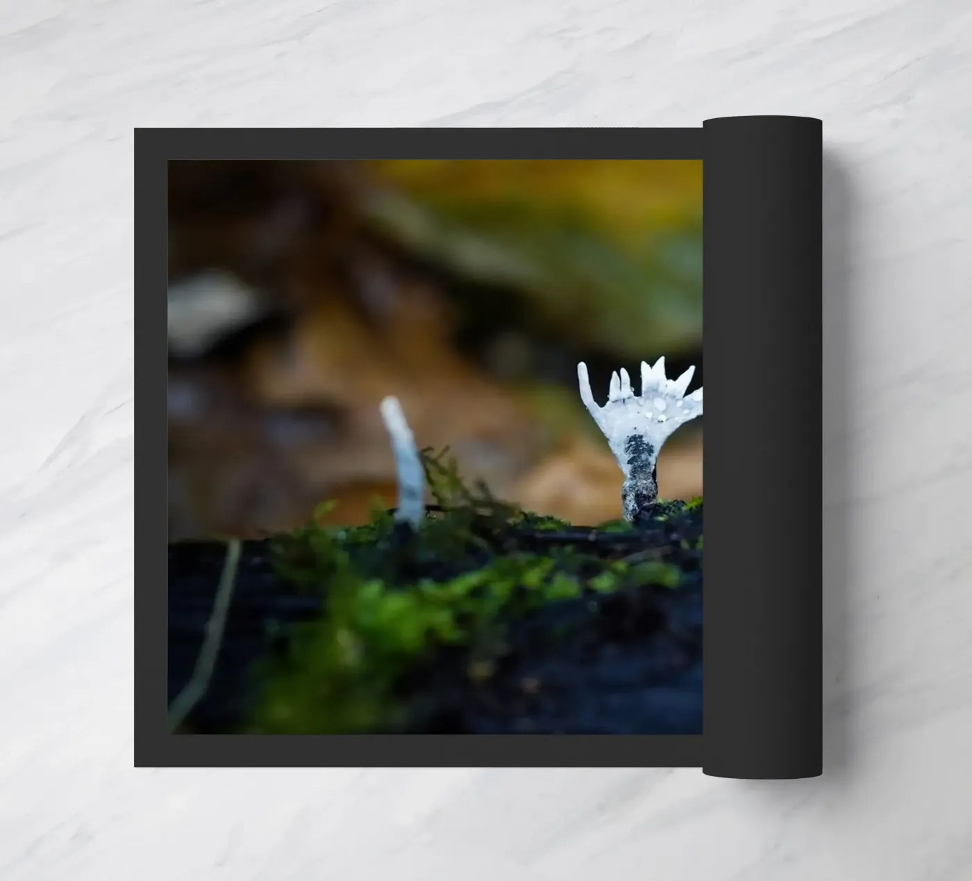 Mushrooms doormat by Tom's Wildlife