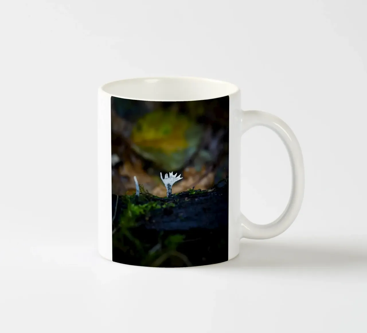 Funghi tazza in ceramica da Tom's Wildlife