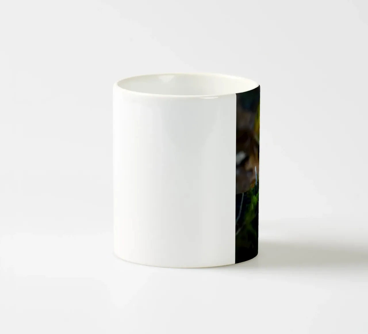 Funghi tazza in ceramica da Tom's Wildlife