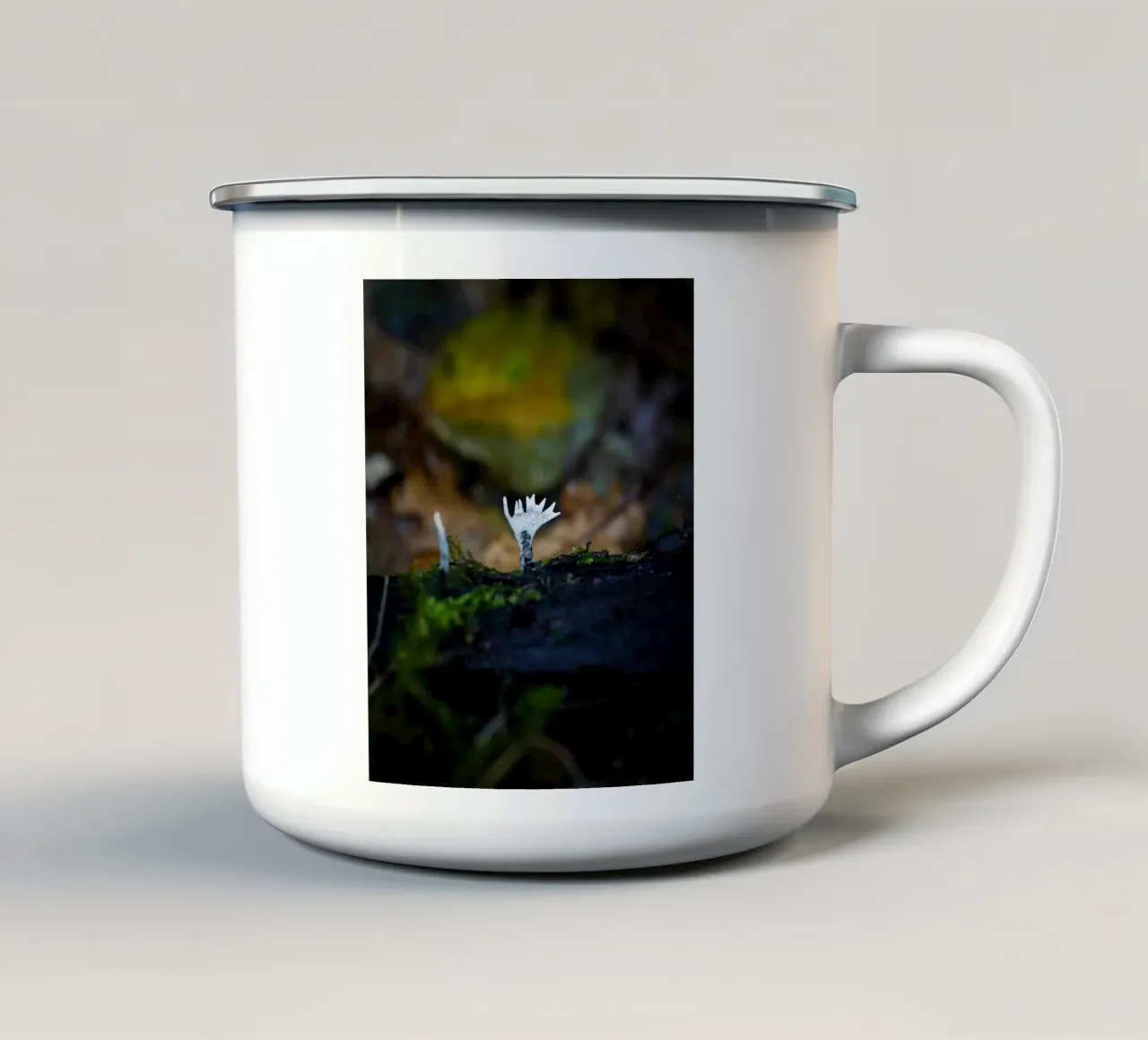 Funghi tazza in smalto da Tom's Wildlife