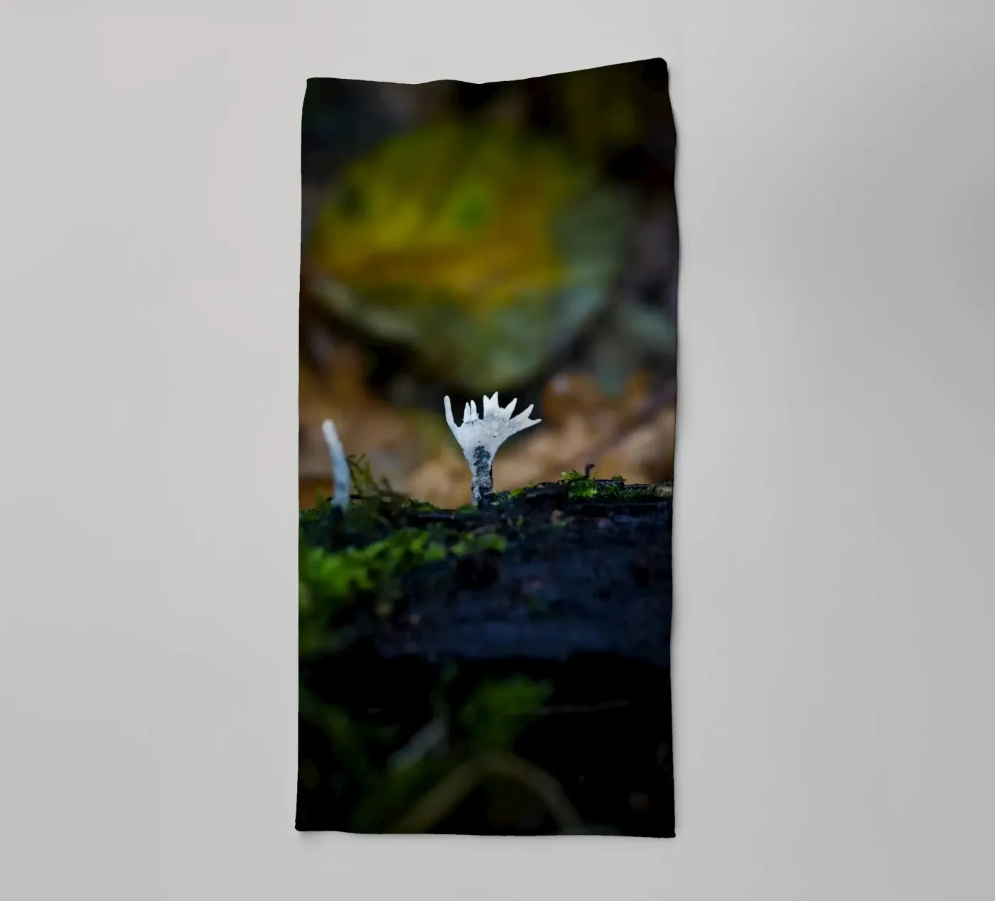 Champignons badhanddoek van Tom's Wildlife