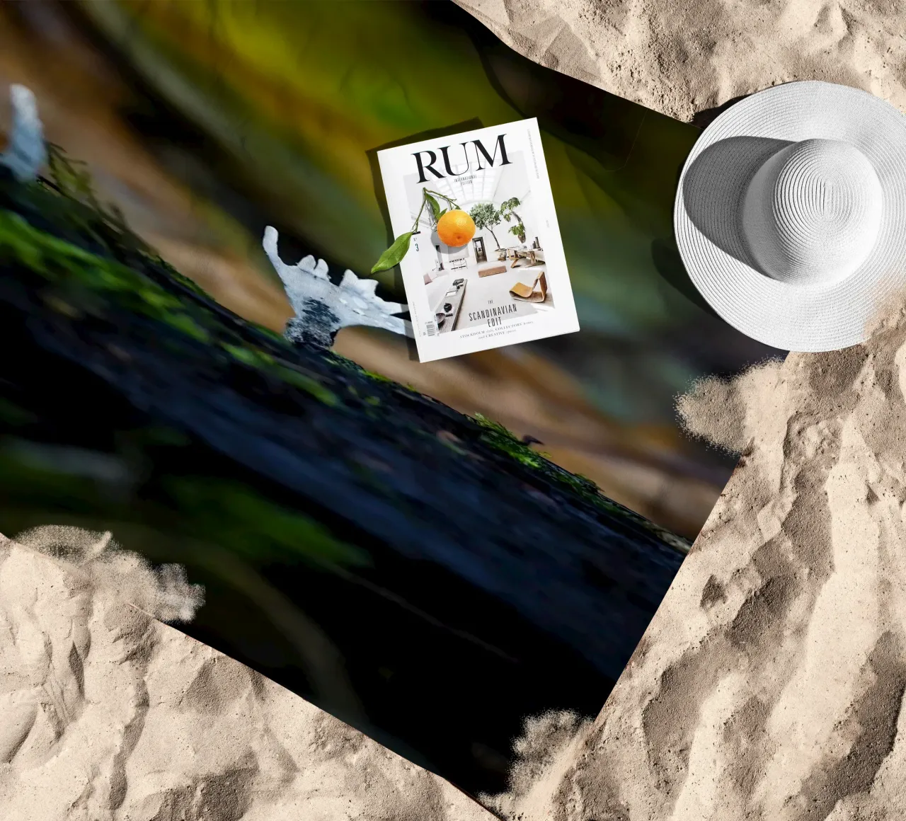 Mushrooms beach towel by Tom's Wildlife