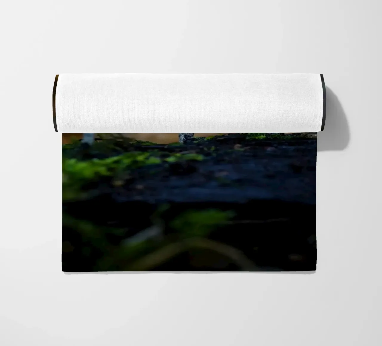 Mushrooms beach towel by Tom's Wildlife