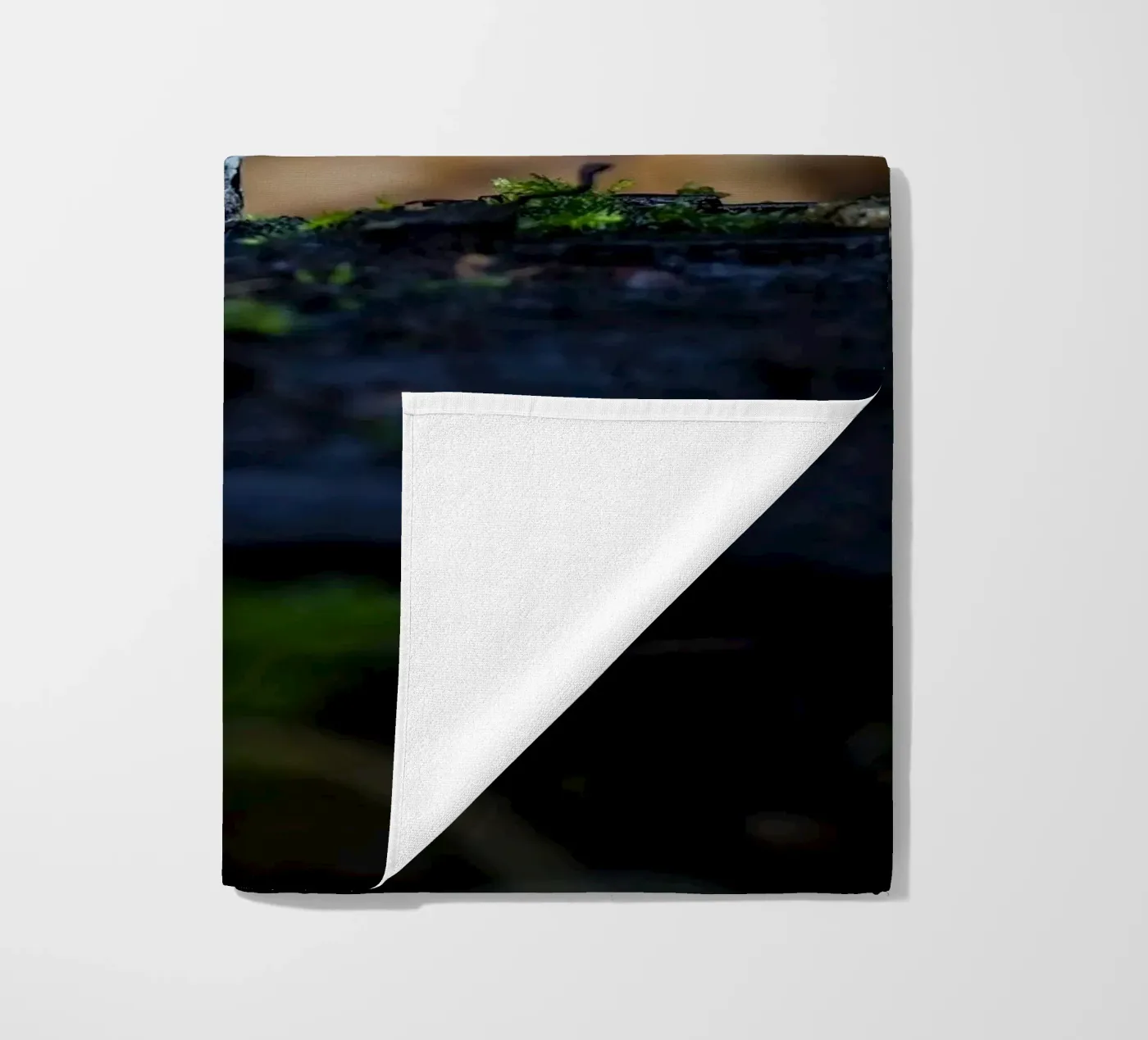 Pilze Strandtuch von Tom's Wildlife