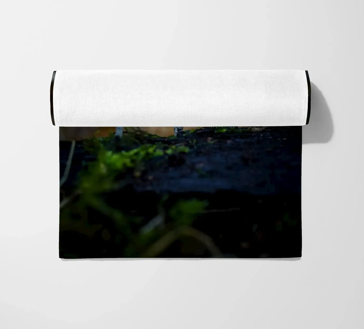 Pilze Strandtuch von Tom's Wildlife