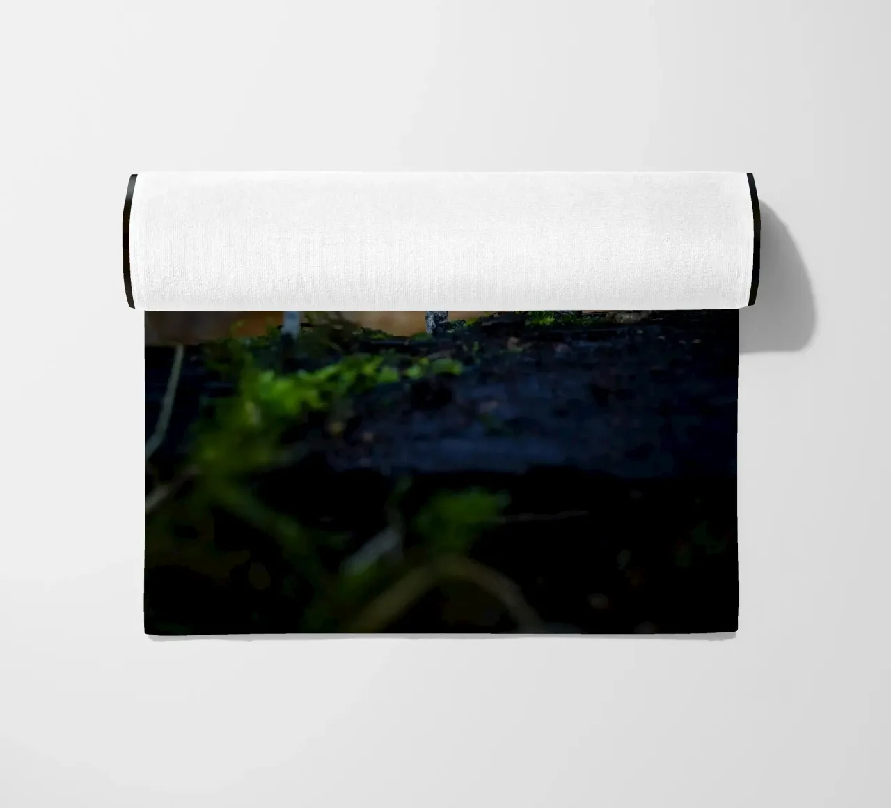 Mushrooms beach towel by Tom's Wildlife