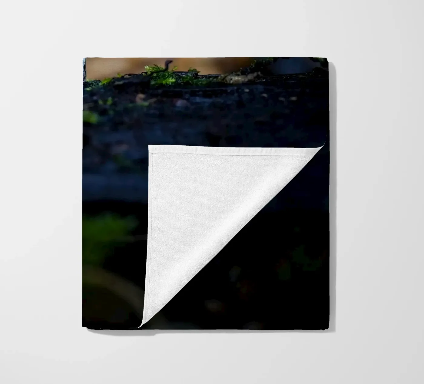 Mushrooms beach towel by Tom's Wildlife