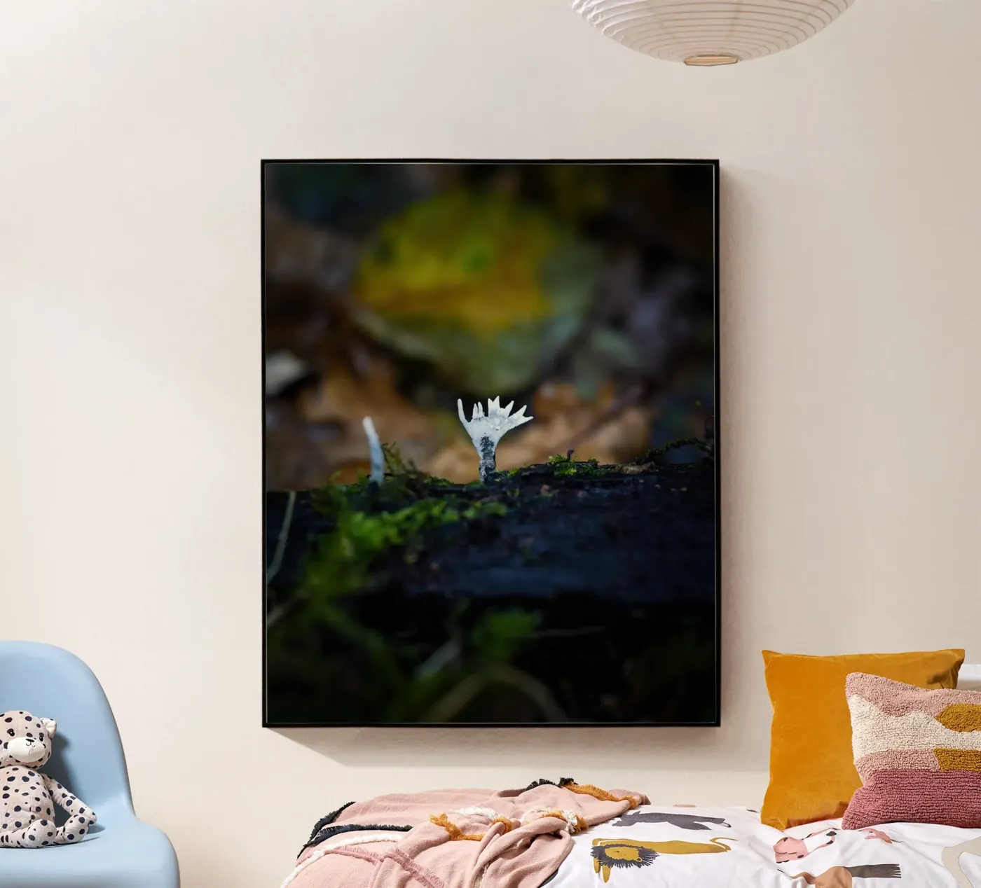 Mushrooms Acryl-Glas von Tom's Wildlife