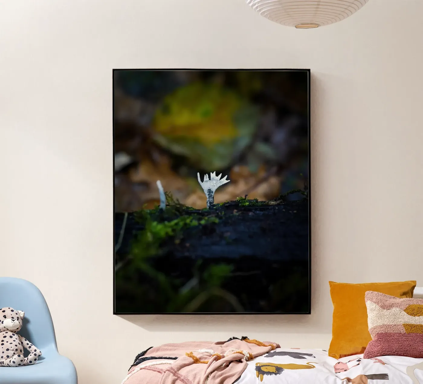 Funghi plexiglass da Tom's Wildlife