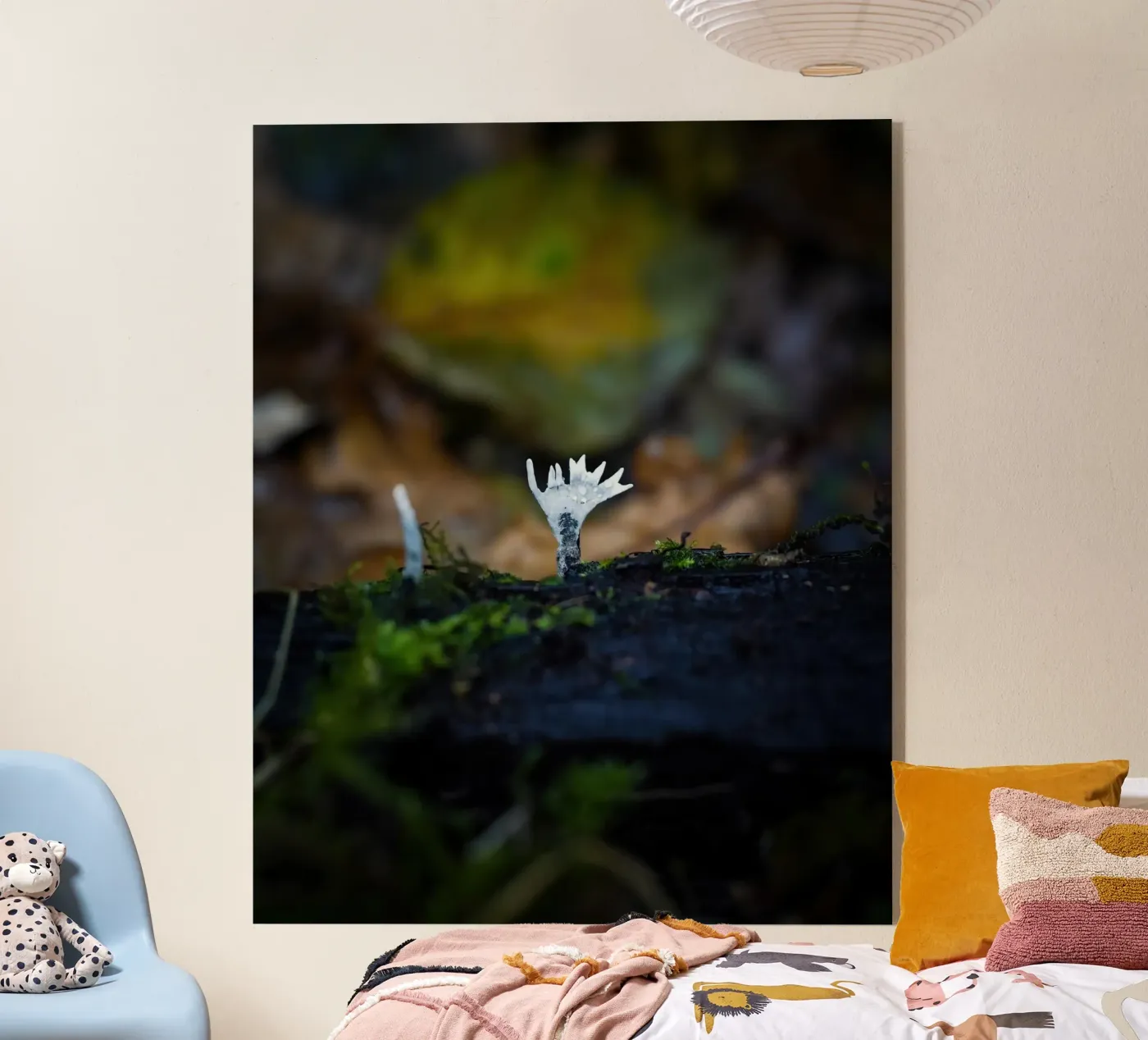 Mushrooms Acryl-Glas von Tom's Wildlife