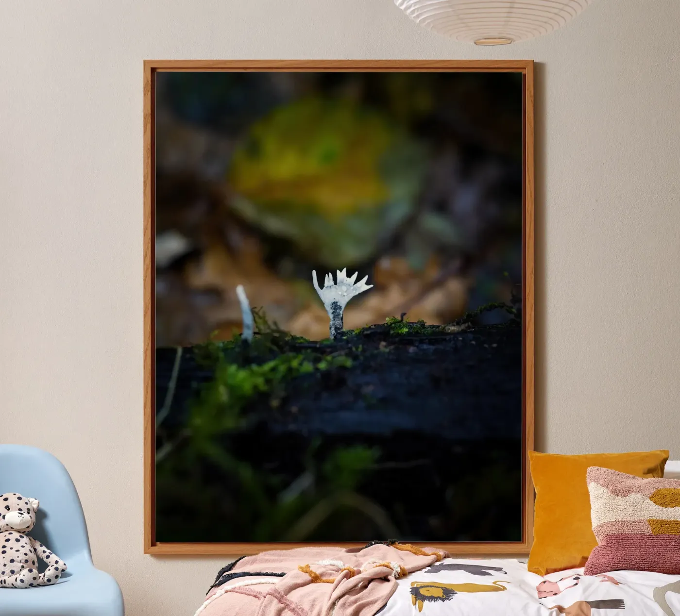 Mushrooms forex-plaat van Tom's Wildlife