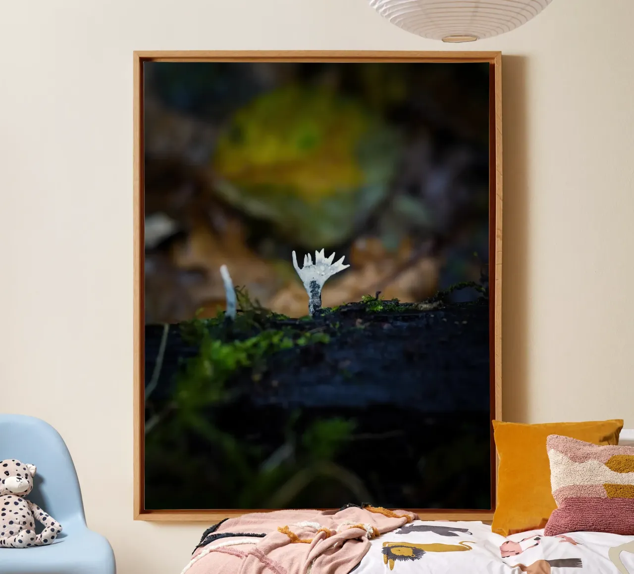 Funghi tela da Tom's Wildlife