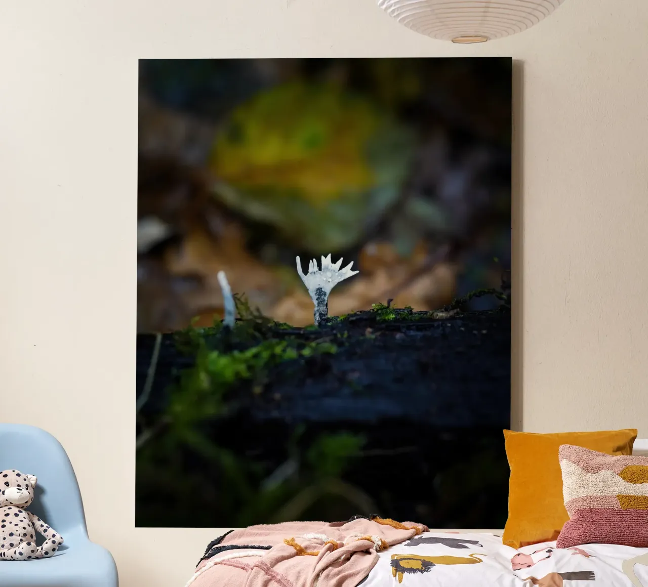 Funghi tela da Tom's Wildlife