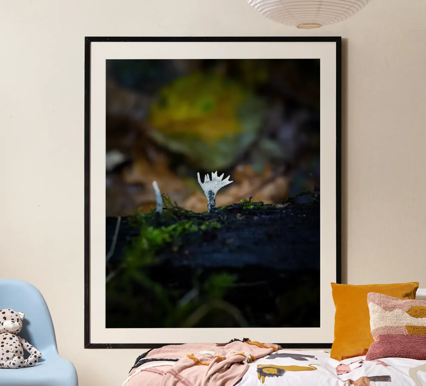 Champignons poster de Tom's Wildlife