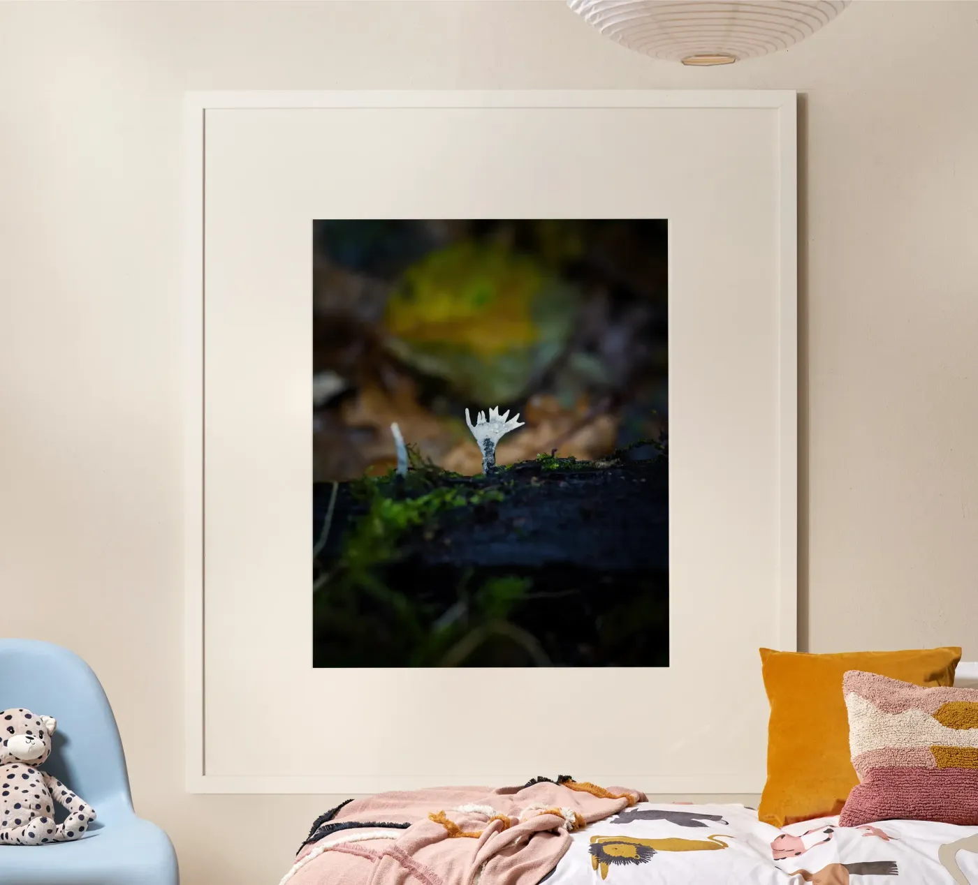 Champignons poster de Tom's Wildlife